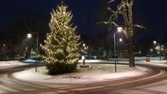 Julgran i en rondell.