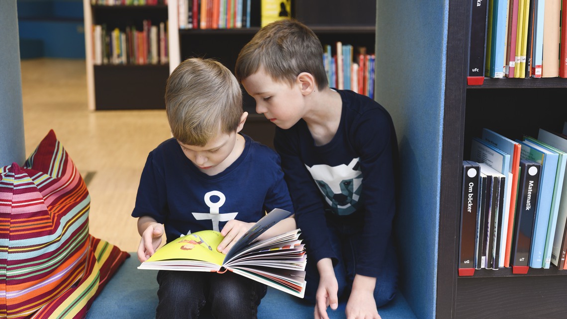 Två pojkar tittar i samma bok