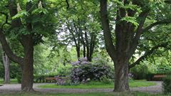 Stockbyparken – Danderyds kommun