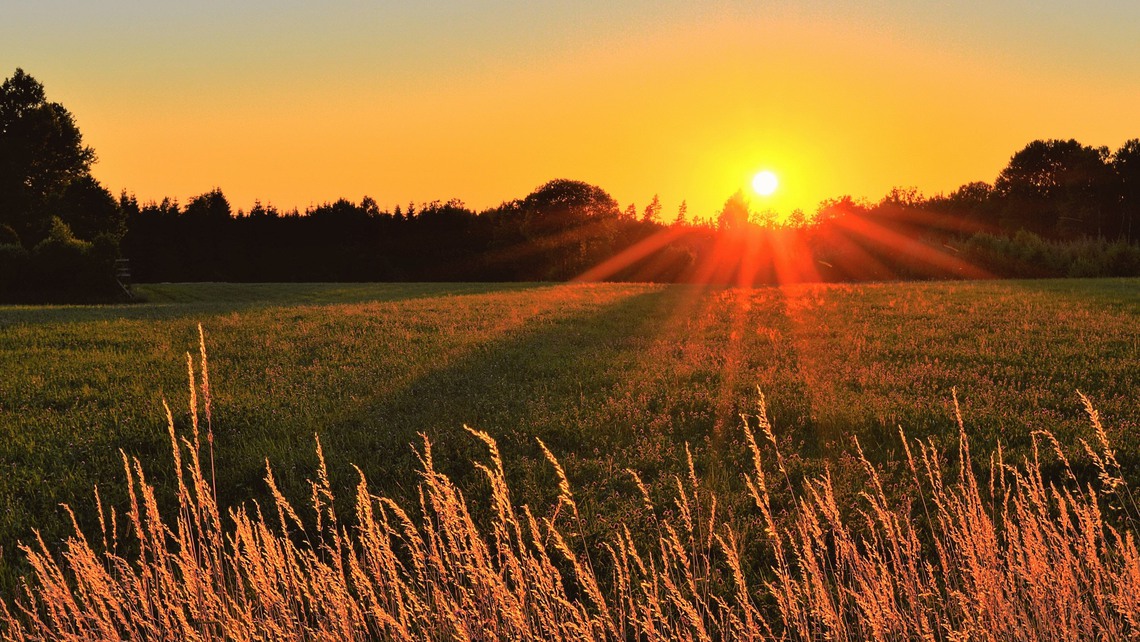 Gratisbild fri att använda från Pexels