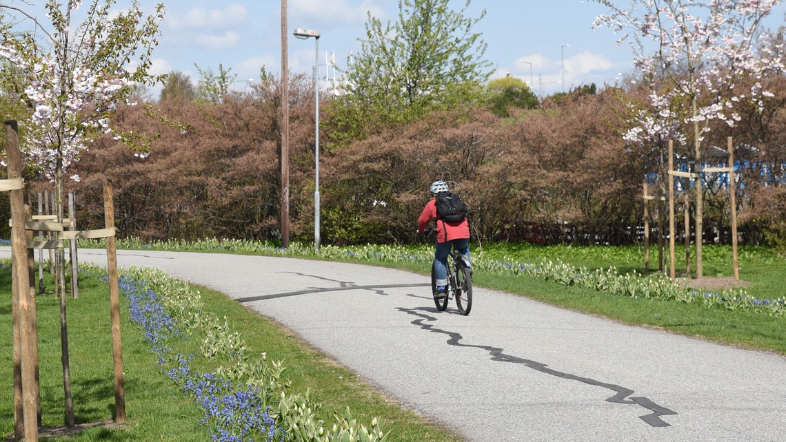 Cyklist på gång- och cykelväg vid Lärkängen.