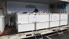 Vit container med skräp uppställd på en parkeringsplats.