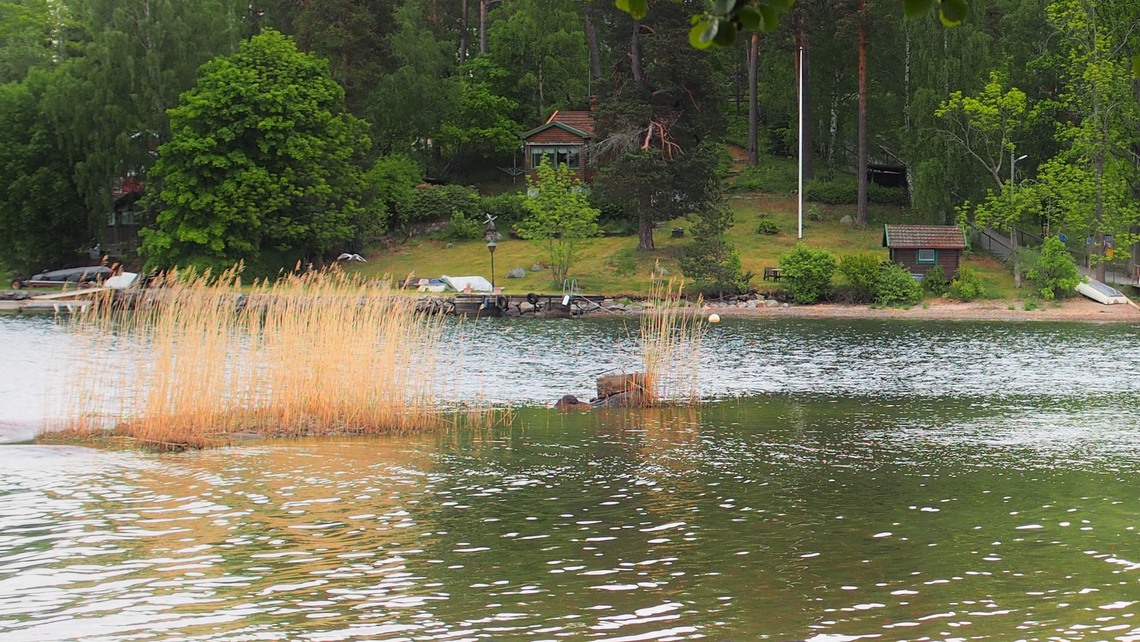 Strand vid Tranholmen
