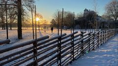Solig vinterdag i Svanholmsparken. I förgrunden syns en gärdesgård.