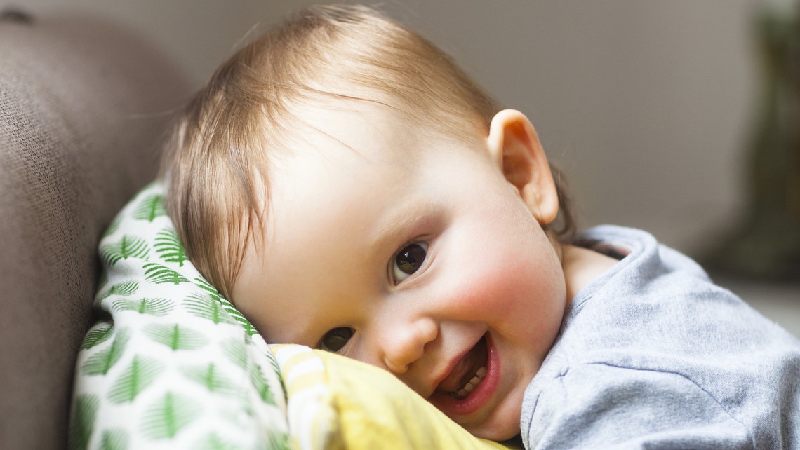 flicka kramar leksakshäst