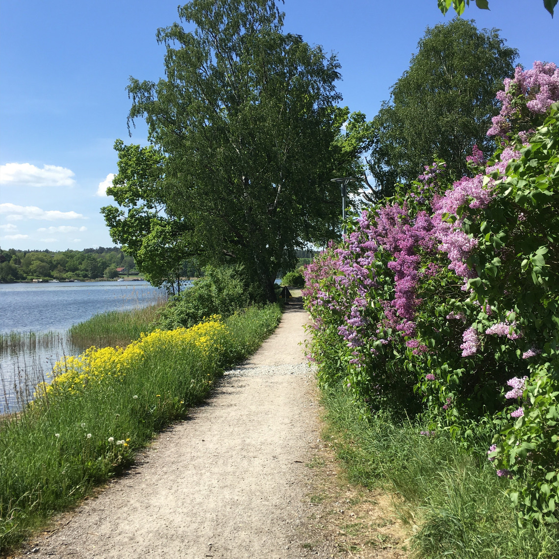 Vinnarbild i fototävling