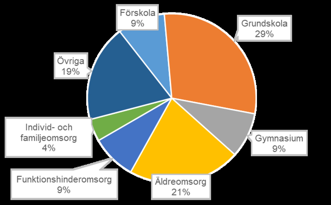 Budget för 2021