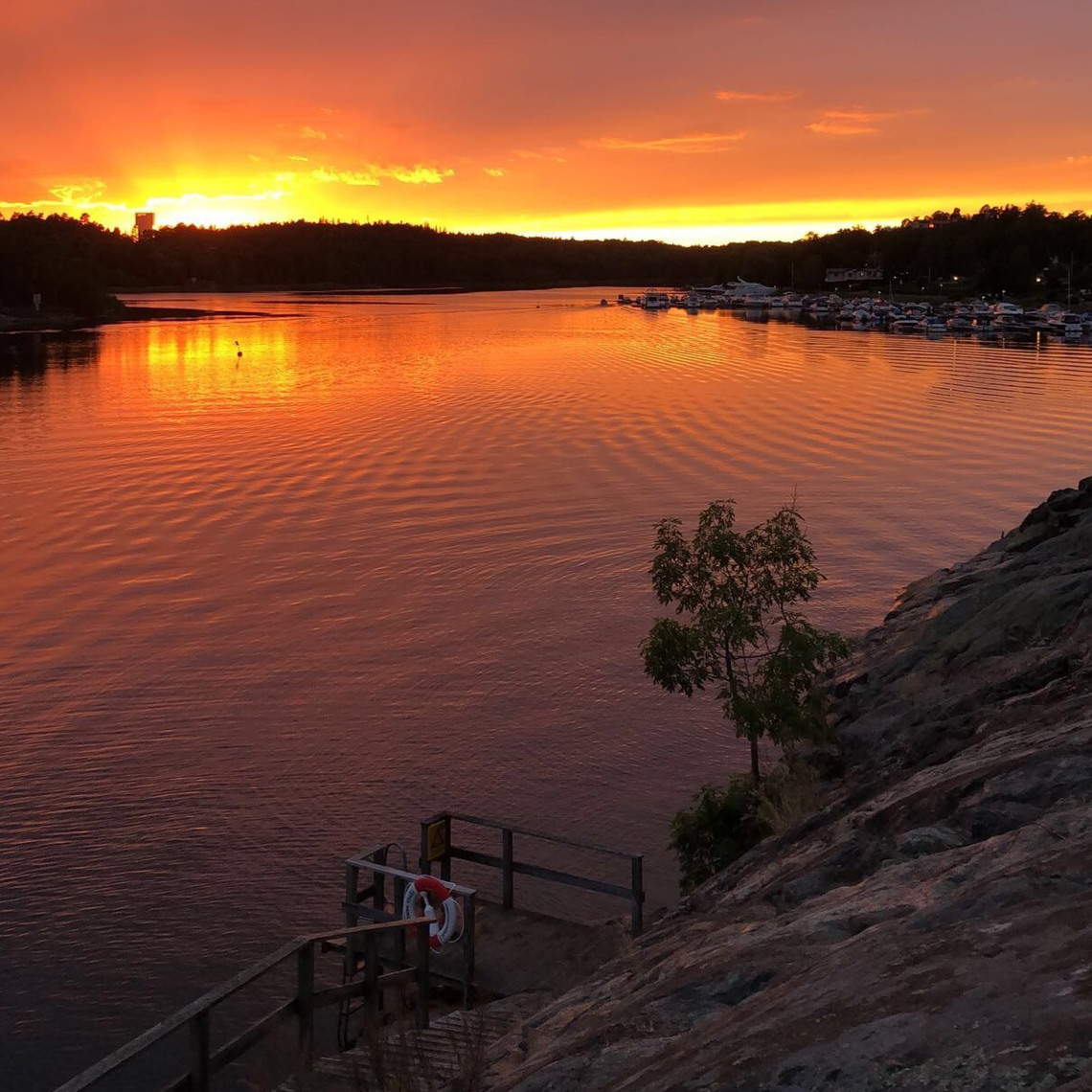 Vinnarbild i fototävling