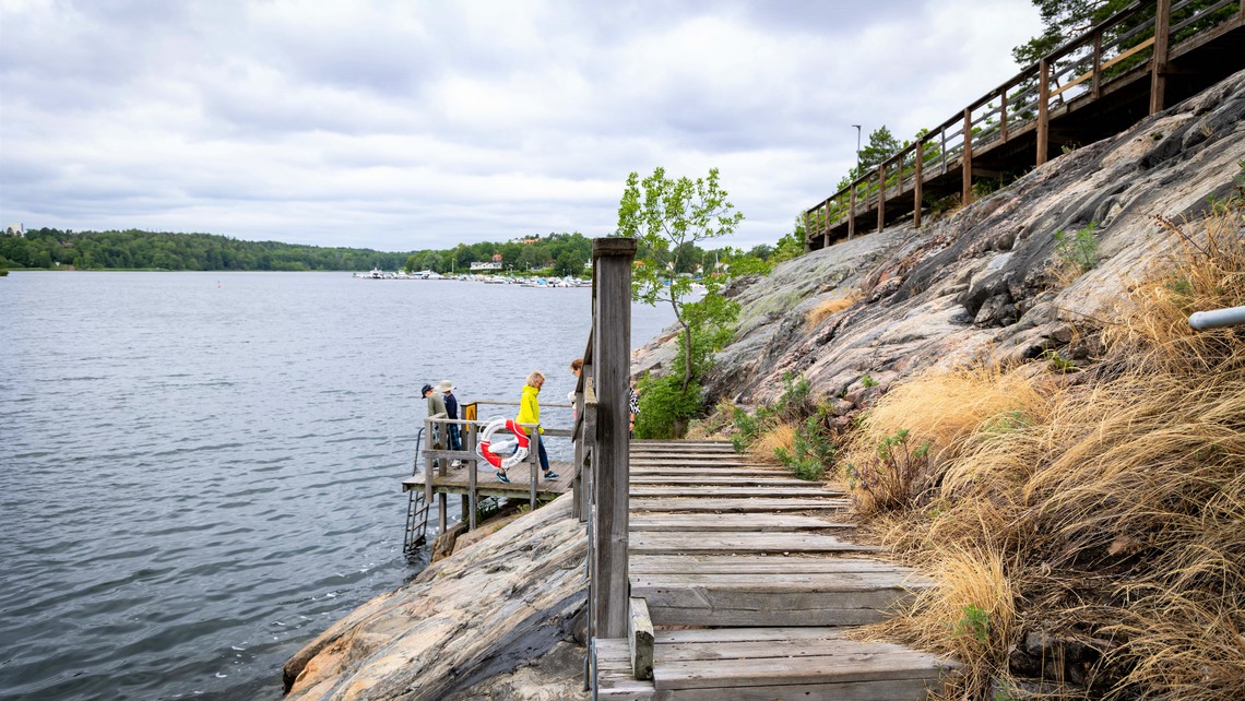 Barn vid brygga och bro intill badplats med badstege.