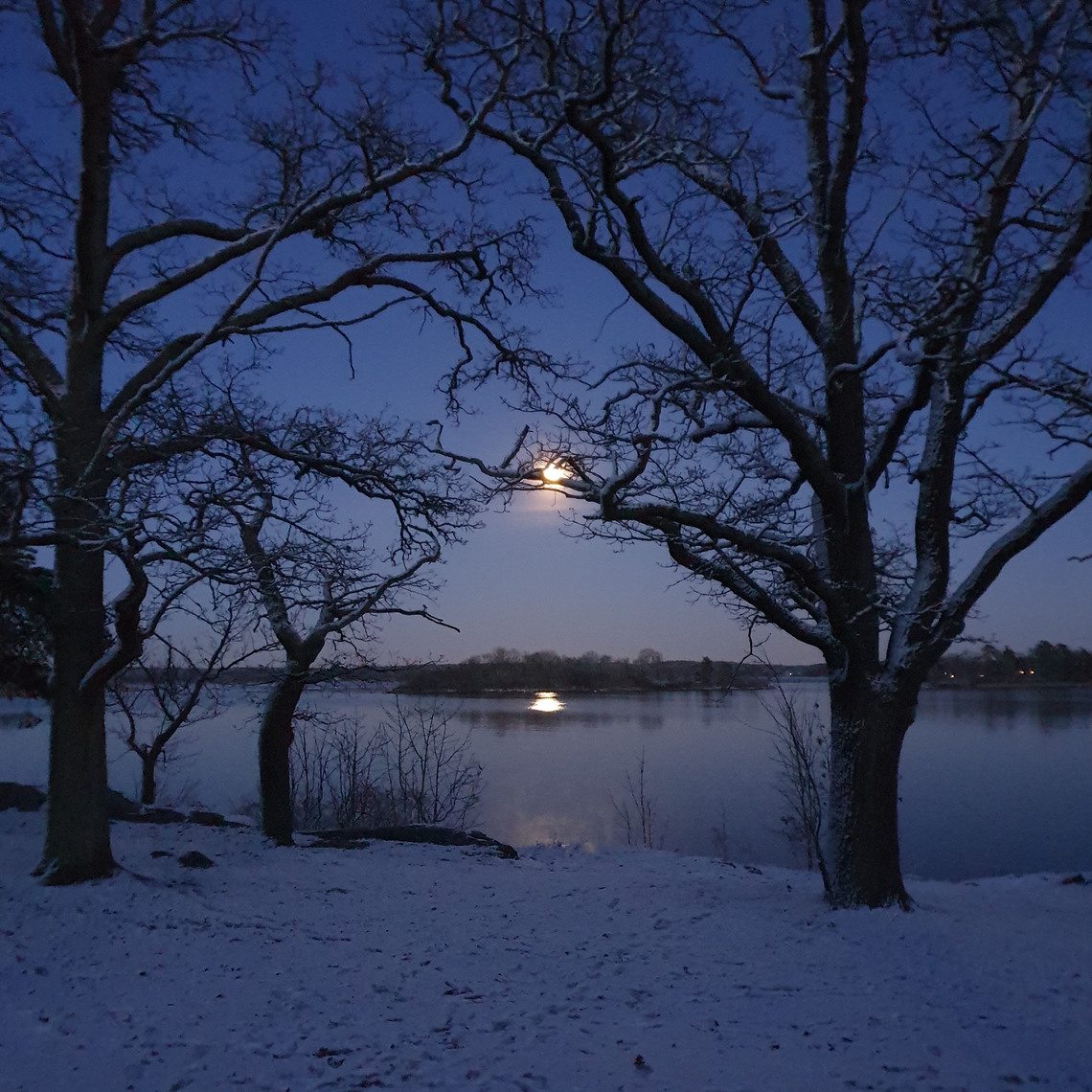 Vinnarbild i fototävling